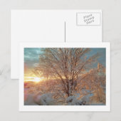 Winter Sunrise Postkarte (Vorne/Hinten)