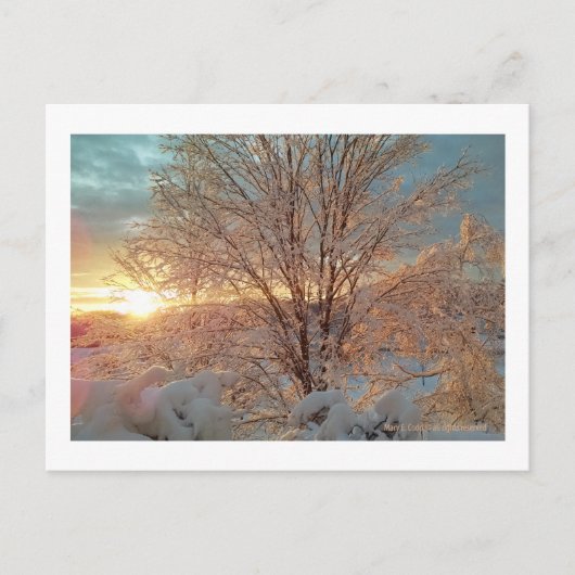 Winter Sunrise Postkarte (Vorderseite)