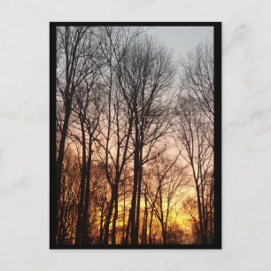 Winter Sunrise-Weihnachtsmorgen Feiertagspostkarte