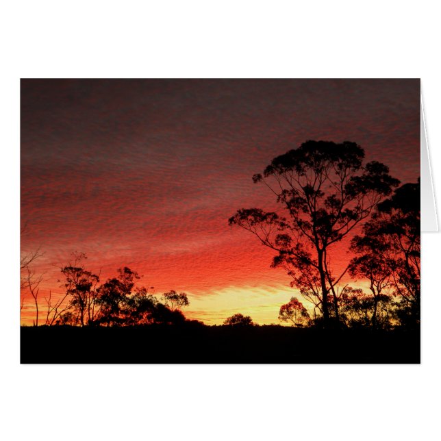 Winter Sunset (Vorderseite (Horizontal))