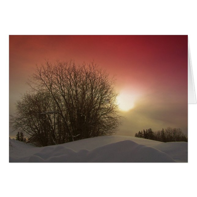 Winter Sunset (Vorderseite (Horizontal))