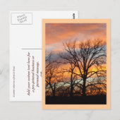 Winter Sunset 1 benutzerdefinierte Postkarte (Vorne/Hinten)