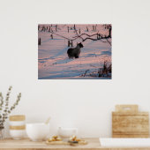 Winter Sunset Kitty im Maisfeld Poster (Küche)