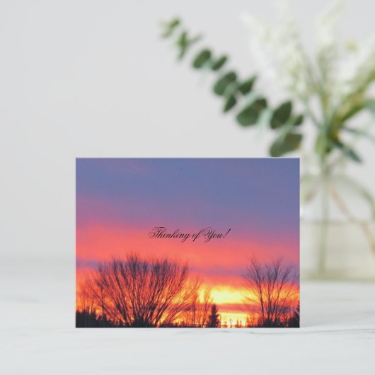 Winter Sunset Postcard Postkarte (Stehend Vorderseite)