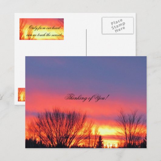 Winter Sunset Postcard Postkarte (Vorne/Hinten)