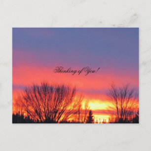 Winter Sunset Postcard Postkarte