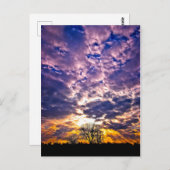 Winter Sunset Postcard Postkarte (Vorne/Hinten)