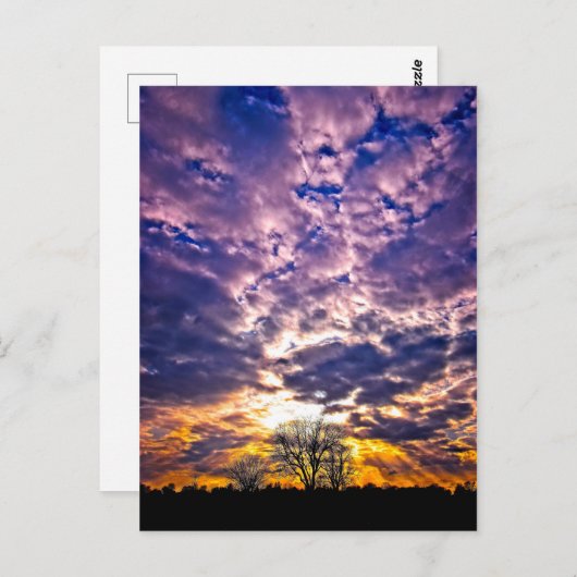 Winter Sunset Postcard Postkarte (Vorne/Hinten)