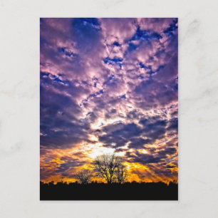 Winter Sunset Postcard Postkarte