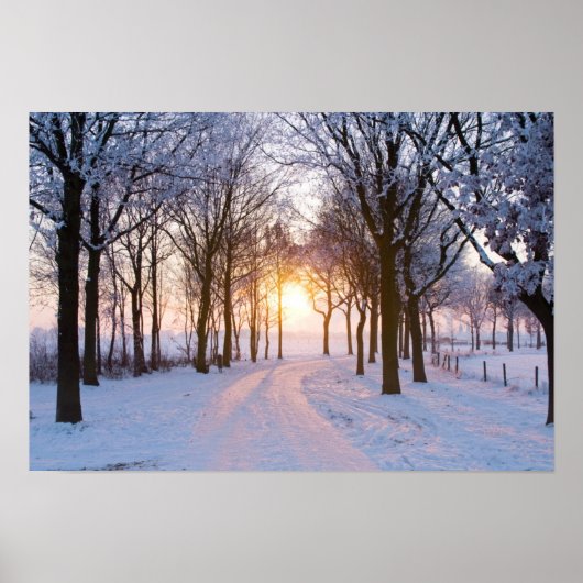 Winter Sunset Poster (Vorne)
