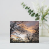 Winter Sunset Postkarte (Stehend Vorderseite)