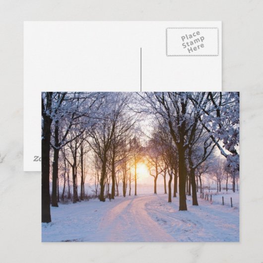 Winter Sunset Postkarte (Vorne/Hinten)