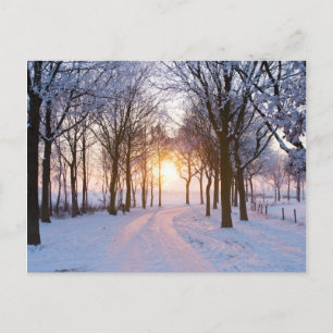 Winter Sunset Postkarte