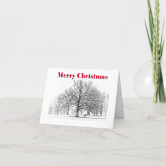 Winter Szene Weihnachtskarte White Bow (geklappt) Feiertagskarte