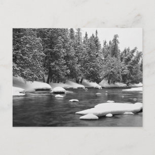 Winter Thema, Schwarz und Weiß schöne Frozen Ri Postkarte