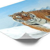Winter Tiger Mountains Natur Foto Schneeplakat Poster (Ecke)
