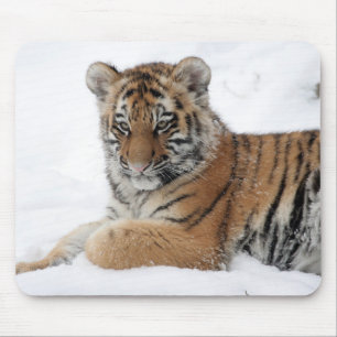 Winter Tiger Mousepad