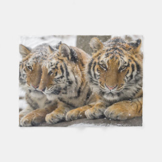 Winter-Tigerherd im Schnee Fleecedecke