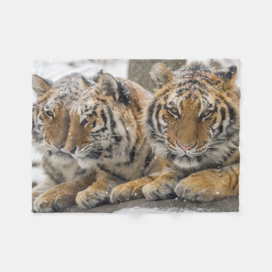 Winter-Tigerherd im Schnee Fleecedecke (Vorderseite (Horizontal))