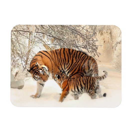 Winter Tigers Magnet (Horizontal)