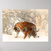 Winter Tigers Poster (Vorne)