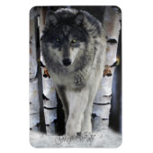 Winter Timer Wolf Wildlife Art Premium Magnet (Vertikal)