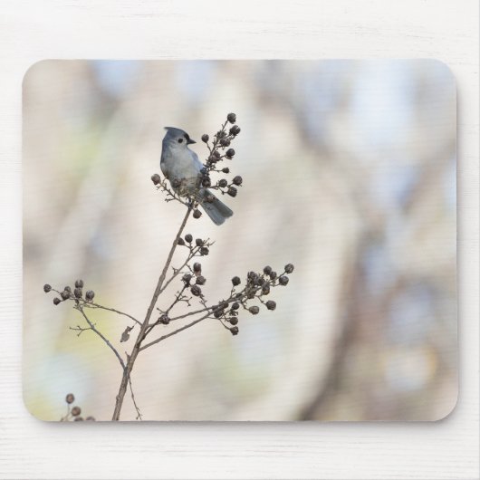 Winter Titmouse Mousepad (Vorne)