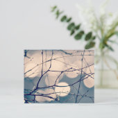 Winter Tree Branches Bokeh Postcard Postkarte (Stehend Vorderseite)