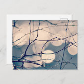 Winter Tree Branches Bokeh Postcard Postkarte (Vorne/Hinten)