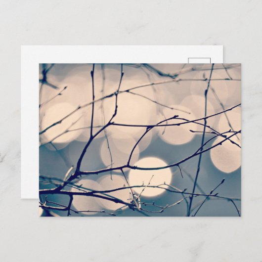 Winter Tree Branches Bokeh Postcard Postkarte (Vorne/Hinten)