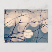 Winter Tree Branches Bokeh Postcard Postkarte (Vorderseite)