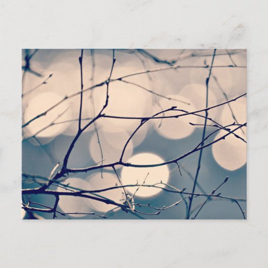 Winter Tree Branches Bokeh Postcard Postkarte (Vorderseite)