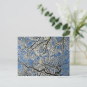 Winter Tree Canopy Postkarte (Stehend Vorderseite)