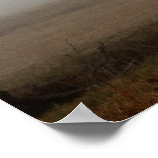 Winter Tree Foggy Meadow Poster (Ecke)