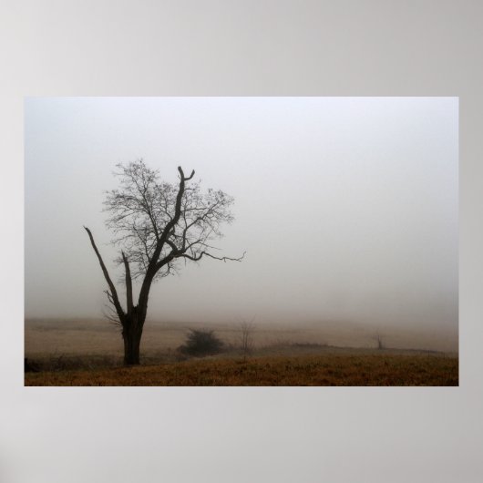 Winter Tree Foggy Meadow Poster (Vorne)