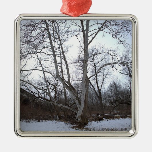 Winter Tree in Snow Ornament Aus Metall (Vorne)