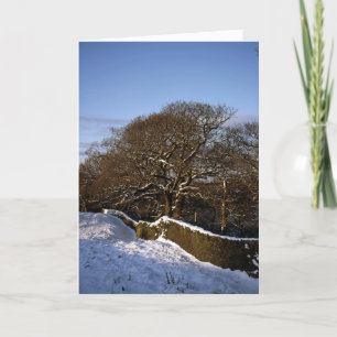 Winter Tree Lyme Handley Cheshire Feiertagskarte