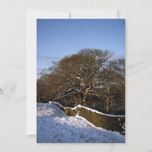 Winter Tree Lyme Handley Cheshire Holiday Card Feiertagskarte