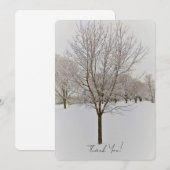 Winter Tree Photography (Vorne/Hinten)