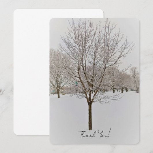 Winter Tree Photography (Vorne/Hinten)