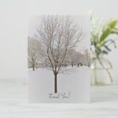Winter Tree Photography (Stehend Vorderseite)