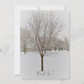 Winter Tree Photography (Vorderseite)