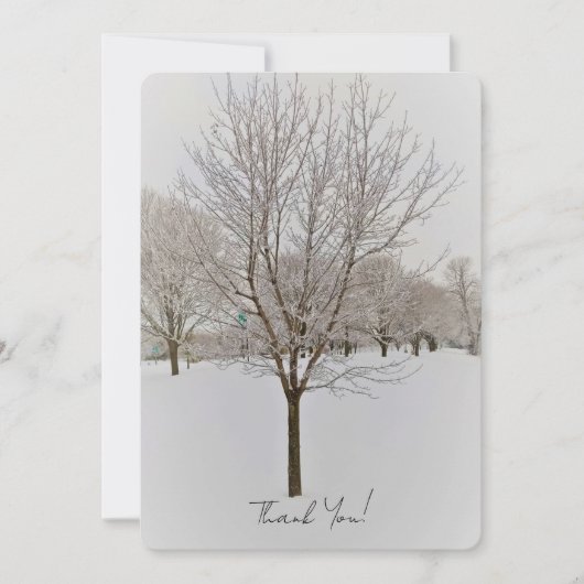 Winter Tree Photography (Vorderseite)