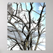 WINTER TREE POSTER (Vorne)