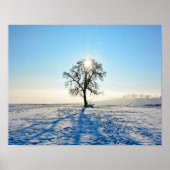 Winter Tree - - Poster (Vorne)