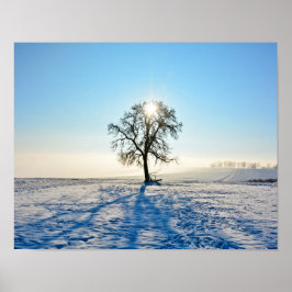 Winter Tree   -     - Poster