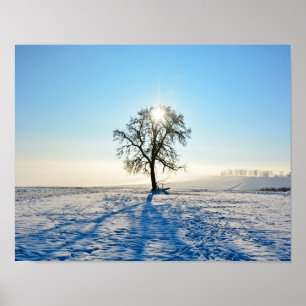 Winter Tree   -     - Poster