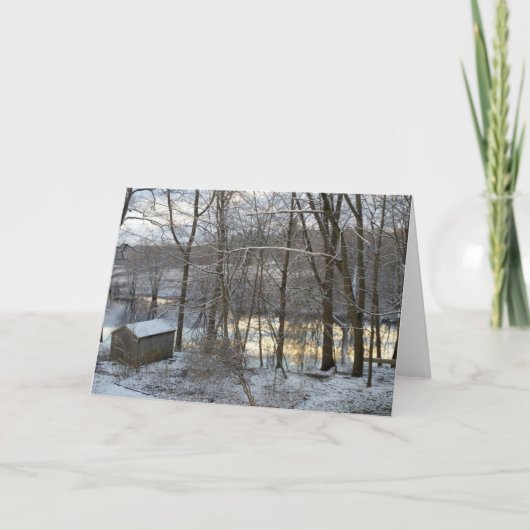 Winter trees greeting card karte (Vorderseite)
