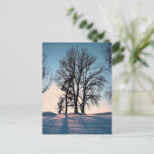 Winter trees on blue sky background postkarte (Stehend Vorderseite)