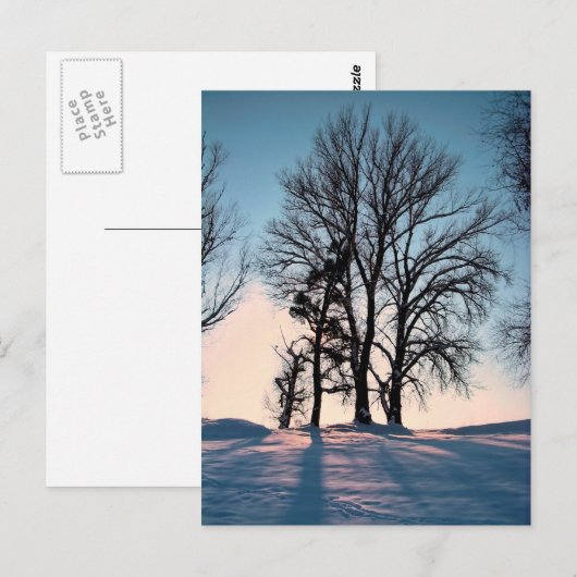 Winter trees on blue sky background postkarte (Vorne/Hinten)